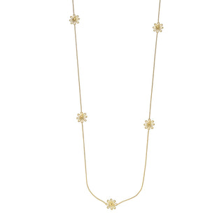 N-CY24403